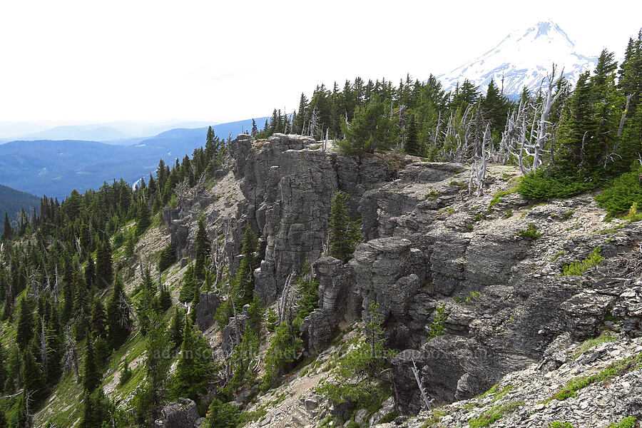 south edge of Lookout Mountain [Lookout Mountain, Mt. Hood National Forest, Hood River County, Oregon]