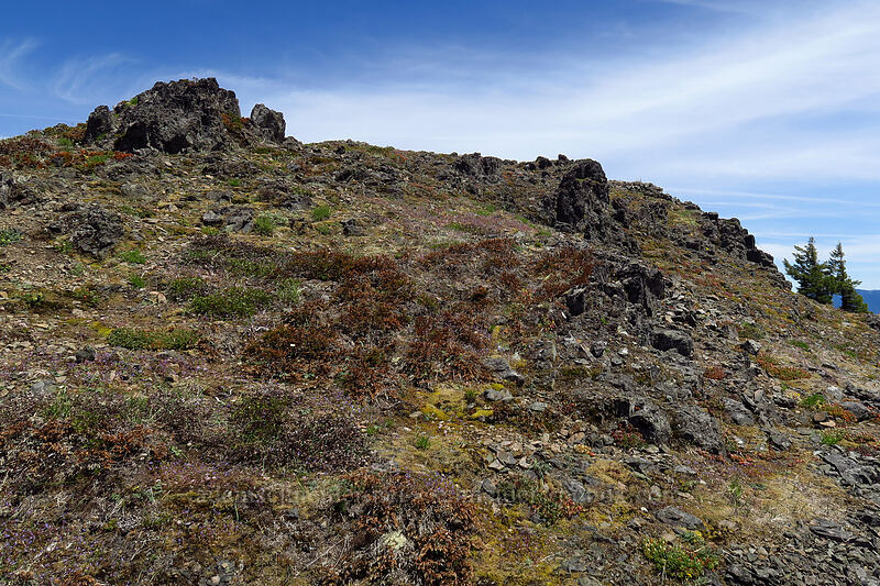 Dome Rock's summit [Dome Rock, Willamette National Forest, Marion County, Oregon]
