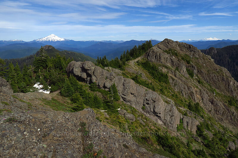 Mt. Jefferson & Sardine Mountain [Sardine Mountain, Willamette National Forest, Marion County, Oregon]