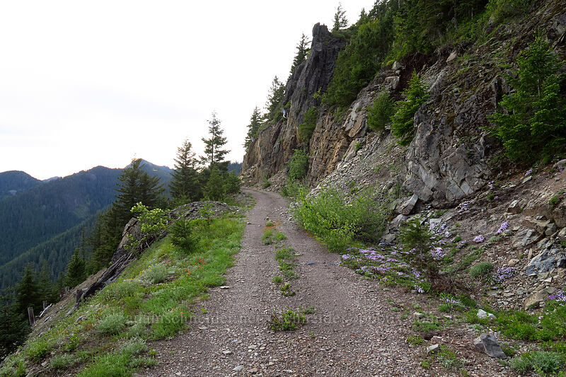 cliff-edge road [Forest Road 2223, Willamette National Forest, Marion County, Oregon]