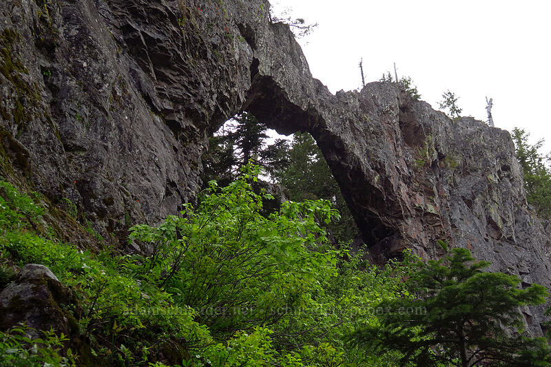 Phantom Natural Bridge [Phantom Natural Bridge, Willamette National Forest, Marion County, Oregon]