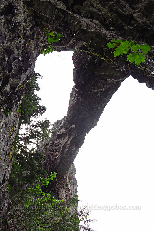 Phantom Natural Bridge, from below [Phantom Natural Bridge, Willamette National Forest, Marion County, Oregon]