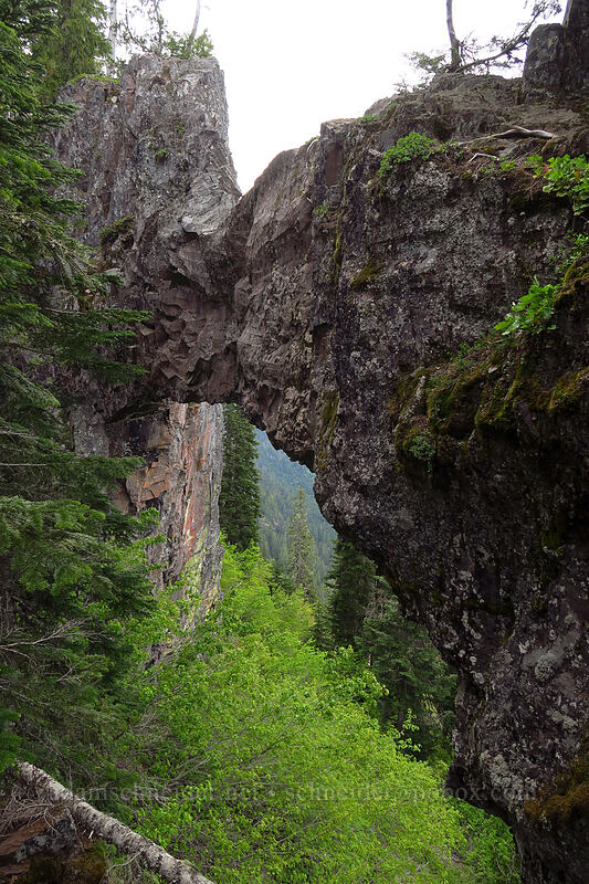 Phantom Natural Bridge [Phantom Natural Bridge, Willamette National Forest, Marion County, Oregon]