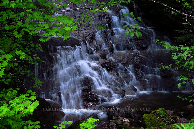 south fork of French Creek [Forest Road 2223, Willamette National Forest, Marion County, Oregon]