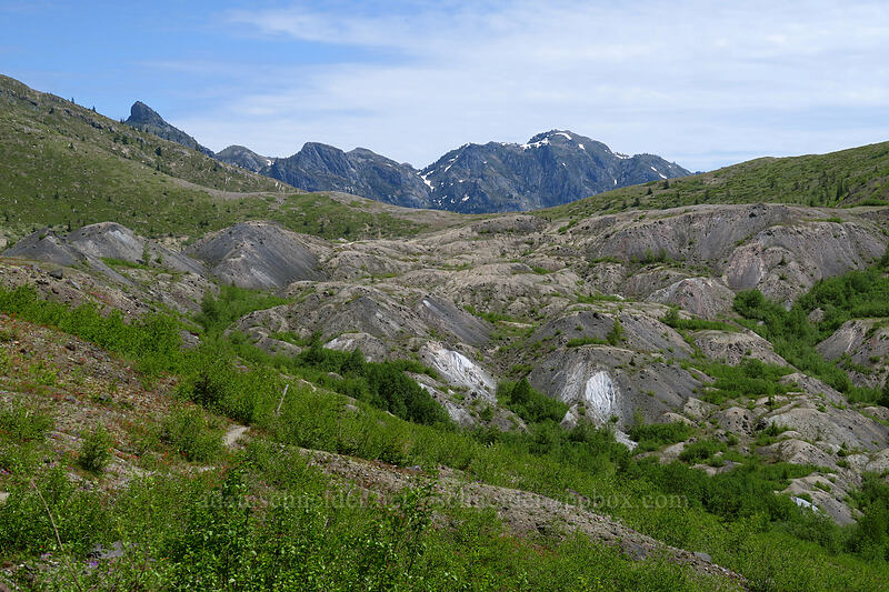 The Dome, Mount Margaret, & hummocks [Devil's Elbow, Mt. St. Helens National Volcanic Monument, Skamania County, Washington]