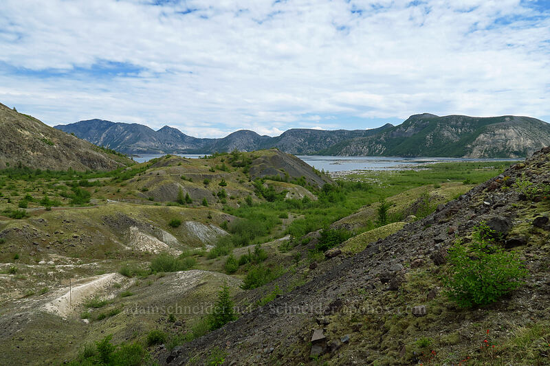 hummocks & Spirit Lake [Truman Trail, Mt. St. Helens National Volcanic Monument, Skamania County, Washington]