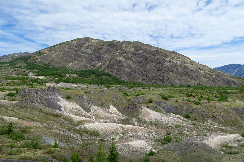 Harry's Ridge & hummocks [Truman Trail, Mt. St. Helens National Volcanic Monument, Skamania County, Washington]