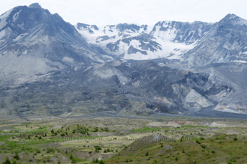 Mount St. Helens' crater [Truman Trail, Mt. St. Helens National Volcanic Monument, Skamania County, Washington]