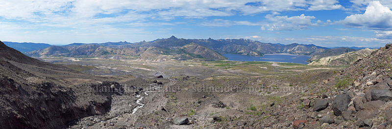 blast zone panorama [Loowit Falls Trail, Mt. St. Helens National Volcanic Monument, Skamania County, Washington]