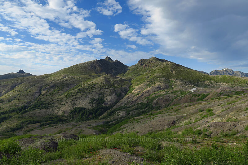 Coldwater Peak & Peak 5332 [Boundary Trail, Mt. St. Helens National Volcanic Monument, Skamania County, Washington]
