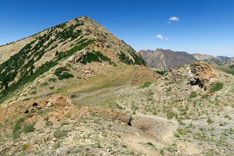 Sugarloaf Mountain [Devil's Castle Trail, Alta, Salt Lake County, Utah]