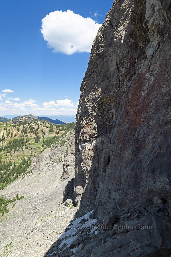 north face of Devil's Castle [below Devil's Castle, Alta, Salt Lake County, Utah]
