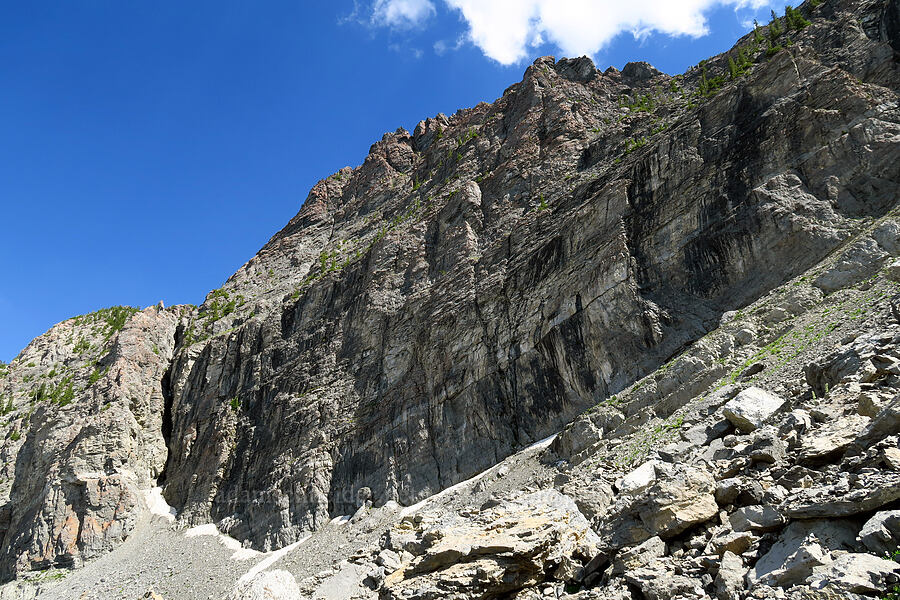 north face of Devil's Castle [below Devil's Castle, Alta, Salt Lake County, Utah]