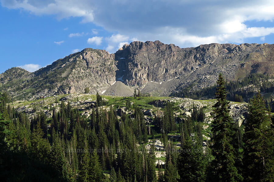 East Castle & Devil's Castle [Albion Basin Road, Alta, Salt Lake County, Utah]