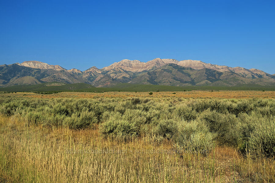 Deseret Peak [South Willow Road, Tooele County, Utah]