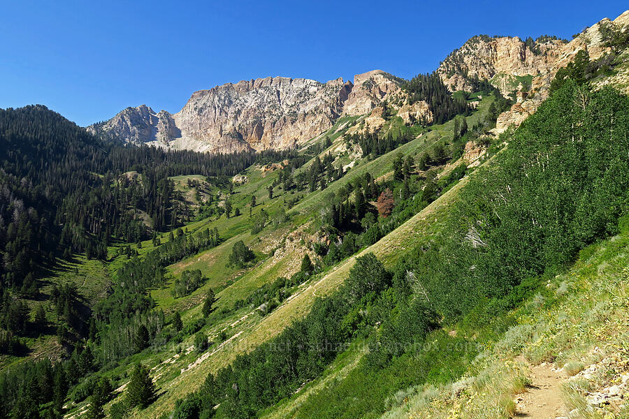 Deseret Peak [Dry Lake-Pockets Fork Trail, Deseret Peak Wilderness, Tooele County, Utah]