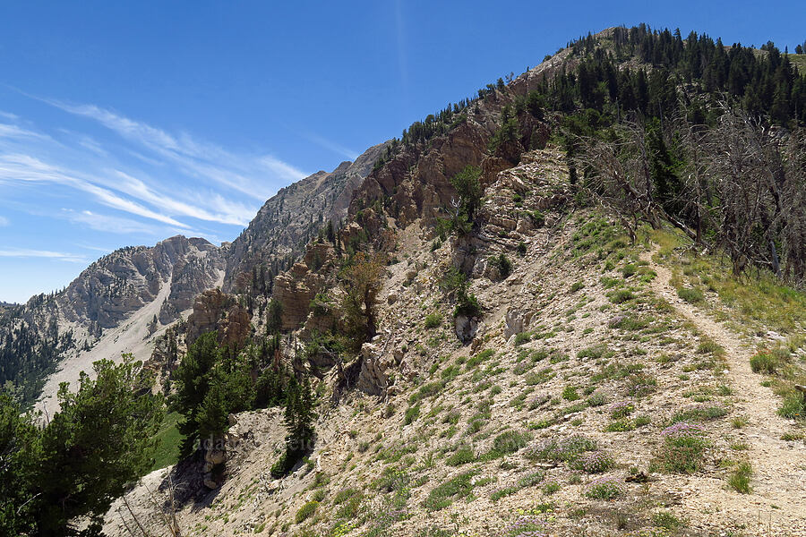 Deseret Peak [Stansbury Crest Trail, Deseret Peak Wilderness, Tooele County, Utah]