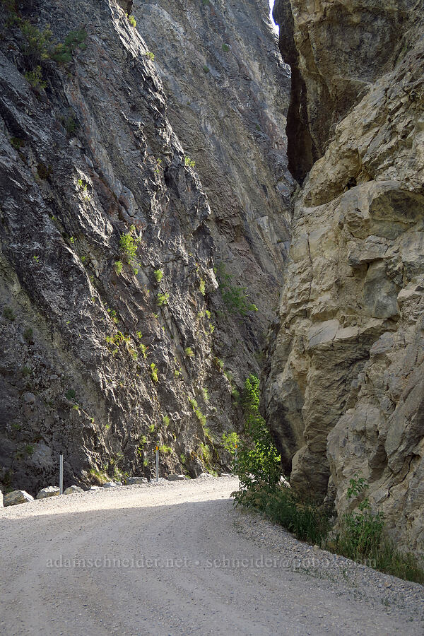 South Willow Creek Narrows [South Willow Road, Uinta-Wasatch-Cache National Forest, Tooele County, Utah]
