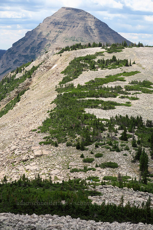Scout Peak & Bald Mountain [Lofty Peak, Uinta-Wasatch-Cache National Forest, Summit County, Utah]