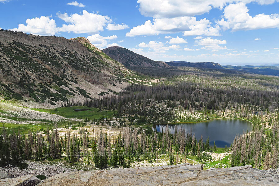 Cutthroat Lake's basin [Lofty Lake Loop Trail, Uinta-Wasatch-Cache National Forest, Summit County, Utah]