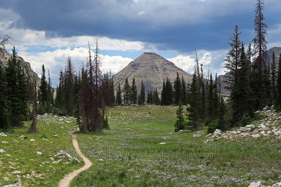 Bald Mountain [Lofty Lake Loop Trail, Uinta-Wasatch-Cache National Forest, Summit County, Utah]