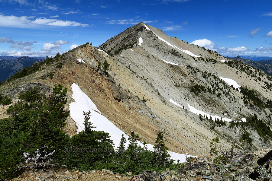 Nelson Ridge [Mt. Aix Trail, William O. Douglas Wilderness, Yakima County, Washington]