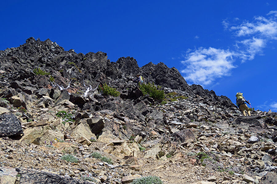 summit trail [Mt. Aix, William O. Douglas Wilderness, Yakima County, Washington]