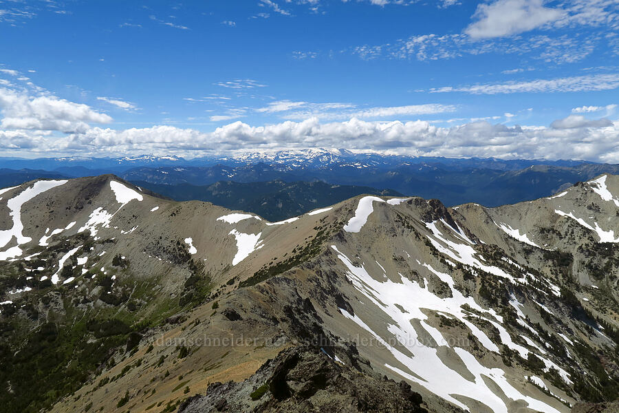 Mount Rainier, hiding behind clouds [Mt. Aix summit, William O. Douglas Wilderness, Yakima County, Washington]