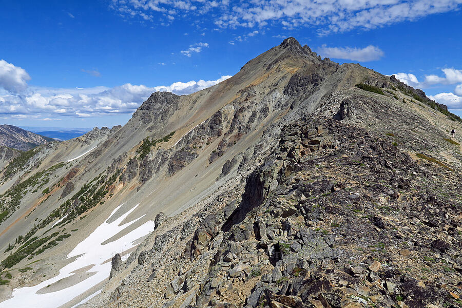 Mount Aix [Mt. Aix Trail, William O. Douglas Wilderness, Yakima County, Washington]