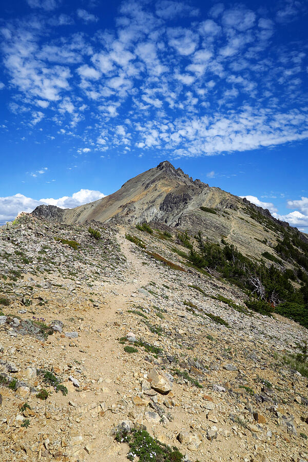 Mount Aix [Mt. Aix Trail, William O. Douglas Wilderness, Yakima County, Washington]