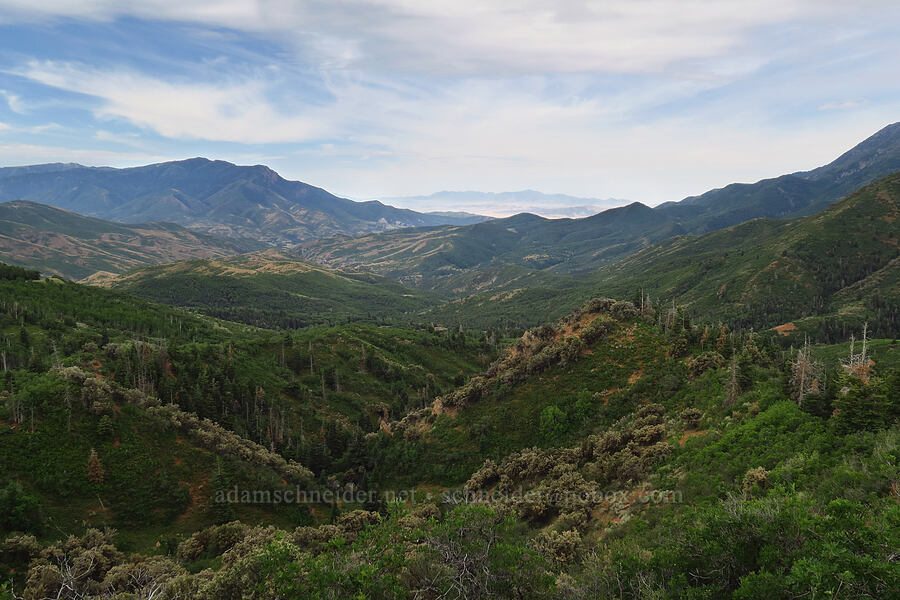 Salt Creek Valley [Salt Creek Overlook, Uinta-Wasatch-Cache National Forest, Juab County, Utah]