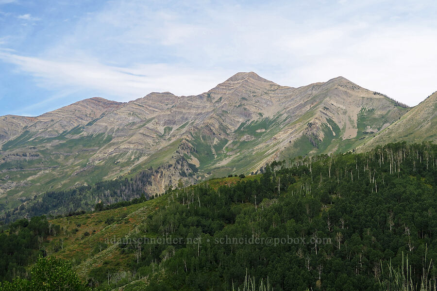Mount Nebo [Mt. Nebo Scenic Byway, Uinta-Wasatch-Cache National Forest, Utah County, Utah]