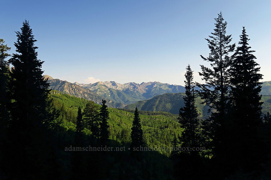mountains to the north [Timpooneke Trail, Mount Timpanogos Wilderness, Utah County, Utah]