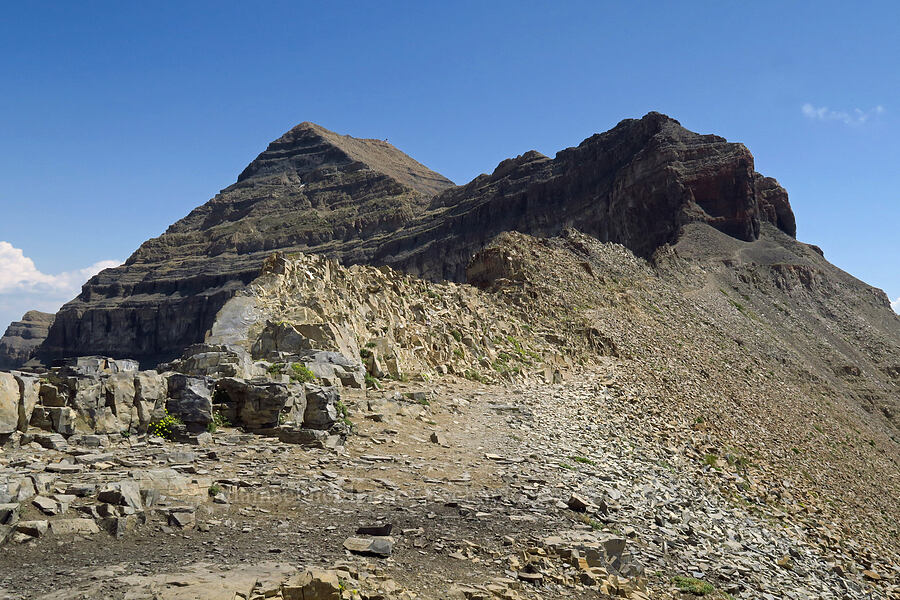 Mt. Timpanogos' summit [Timpanogos Summit Trail, Mount Timpanogos Wilderness, Utah County, Utah]