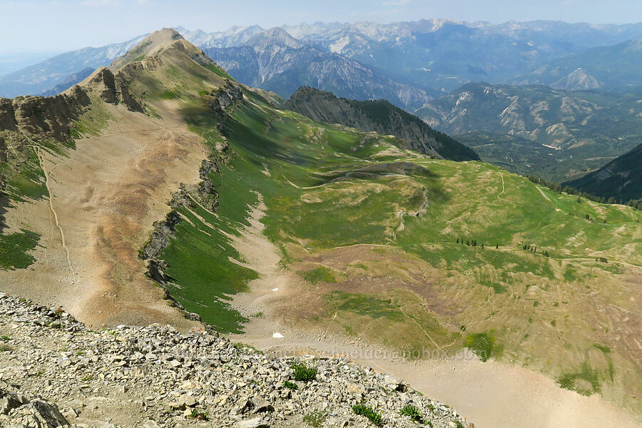 Bomber Peak & Timpanogos Basin [Timpanogos Summit Trail, Mount Timpanogos Wilderness, Utah County, Utah]