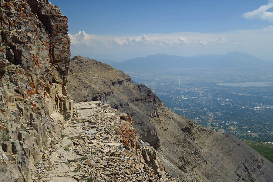 alpine trail [Timpanogos Summit Trail, Mount Timpanogos Wilderness, Utah County, Utah]