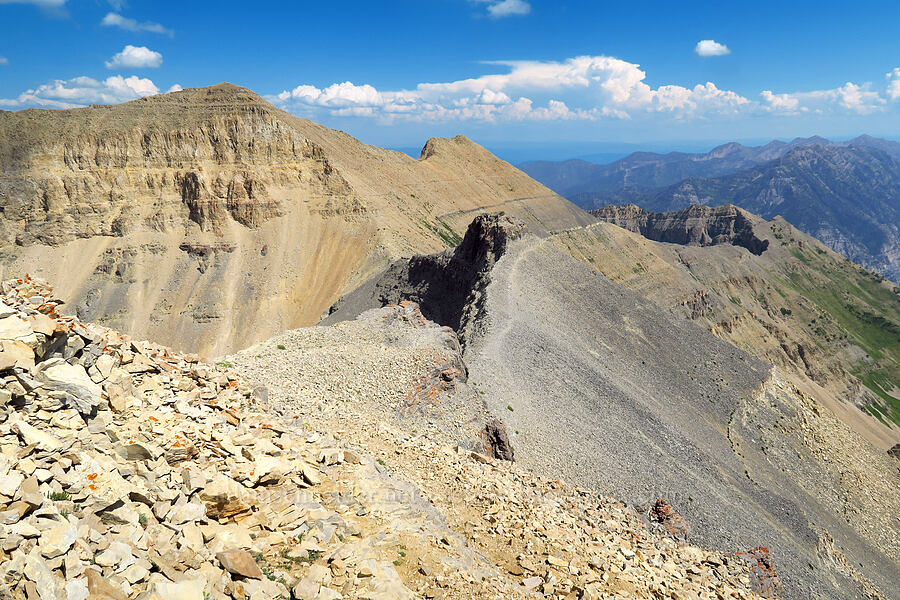 South Timpanogos [Timpanogos Summit Trail, Mount Timpanogos Wilderness, Utah County, Utah]