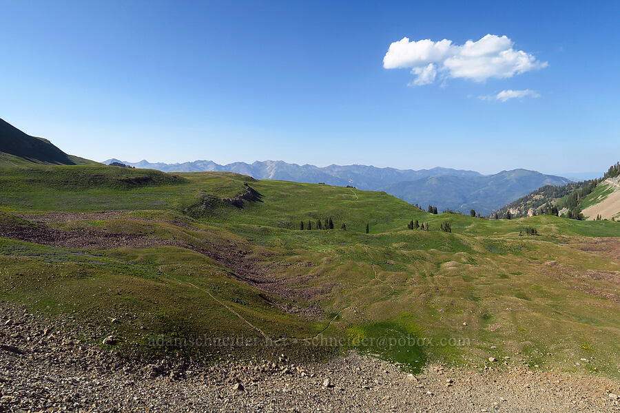 Timpanogos Basin [Timpooneke Trail, Mount Timpanogos Wilderness, Utah County, Utah]