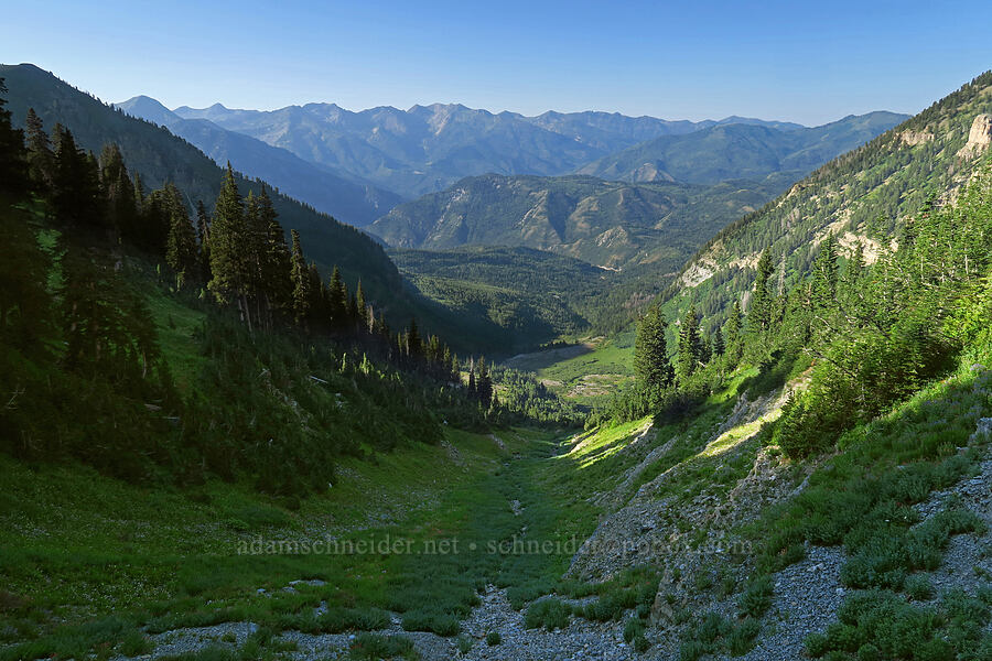 Wasatch Mountains [Timpooneke Trail, Mount Timpanogos Wilderness, Utah County, Utah]
