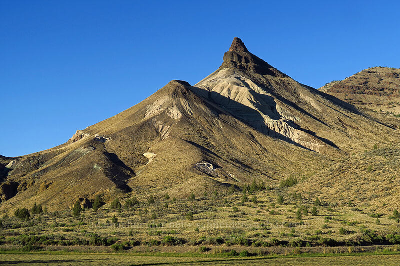 Sheep Rock [Highway 19, John Day Fossil Beds National Monument, Grant County, Oregon]