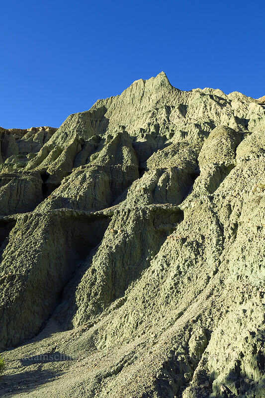 Blue Basin [Island In Time Trail, John Day Fossil Beds National Monument, Grant County, Oregon]