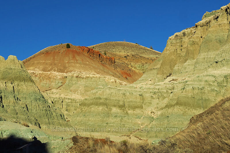 Blue Basin [Island In Time Trail, John Day Fossil Beds National Monument, Grant County, Oregon]