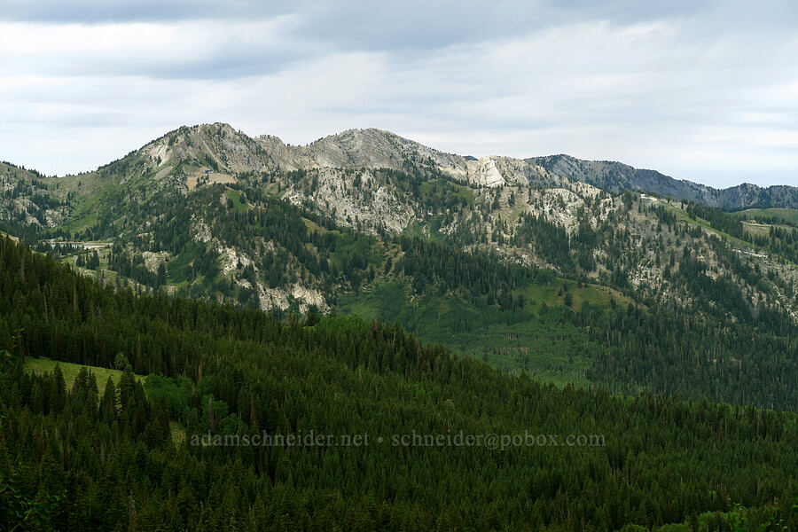 Honeycomb Cliffs [Guardsman Pass Road, Salt Lake County, Utah]