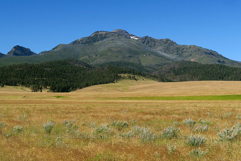 Strawberry Mountain [Strawberry Road, Grant County, Oregon]