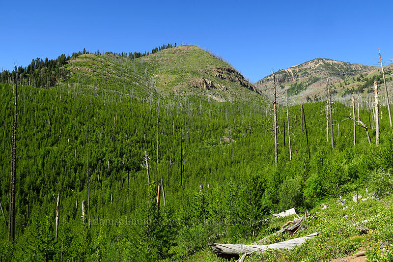 Onion Creek Valley [Onion Creek Trail, Strawberry Mountain Wilderness, Grant County, Oregon]
