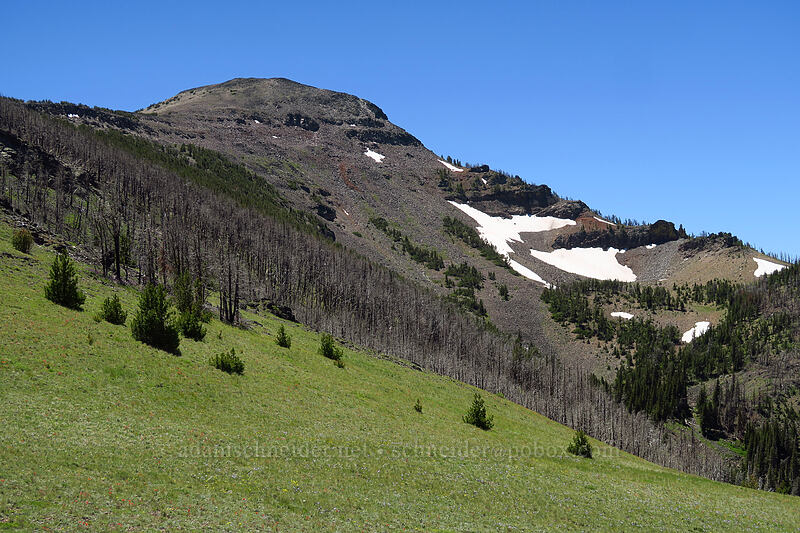 Strawberry Mountain [Onion Creek Trail, Strawberry Mountain Wilderness, Grant County, Oregon]