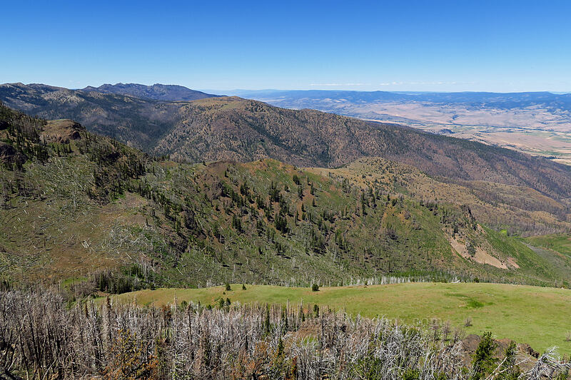 Strawberry Mountains [Onion Creek Trail, Strawberry Mountain Wilderness, Grant County, Oregon]