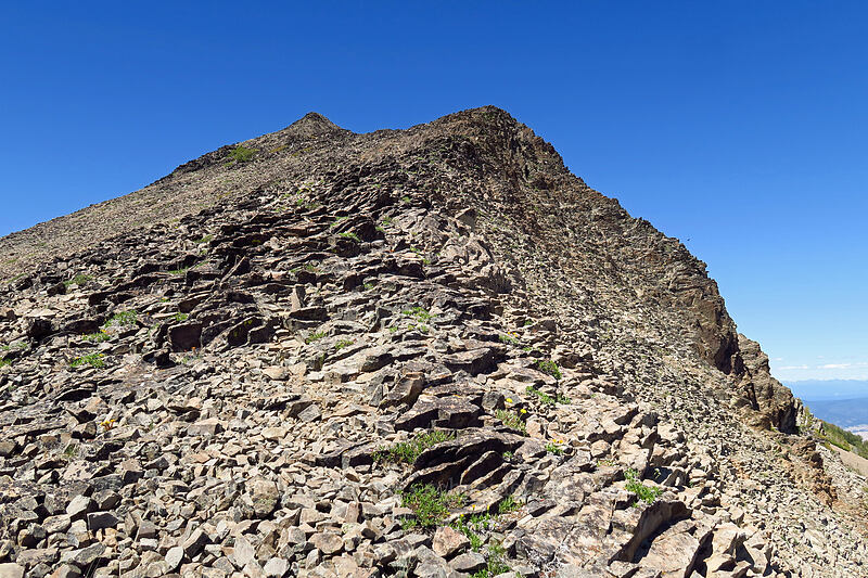 the summit [Strawberry Mountain, Strawberry Mountain Wilderness, Grant County, Oregon]