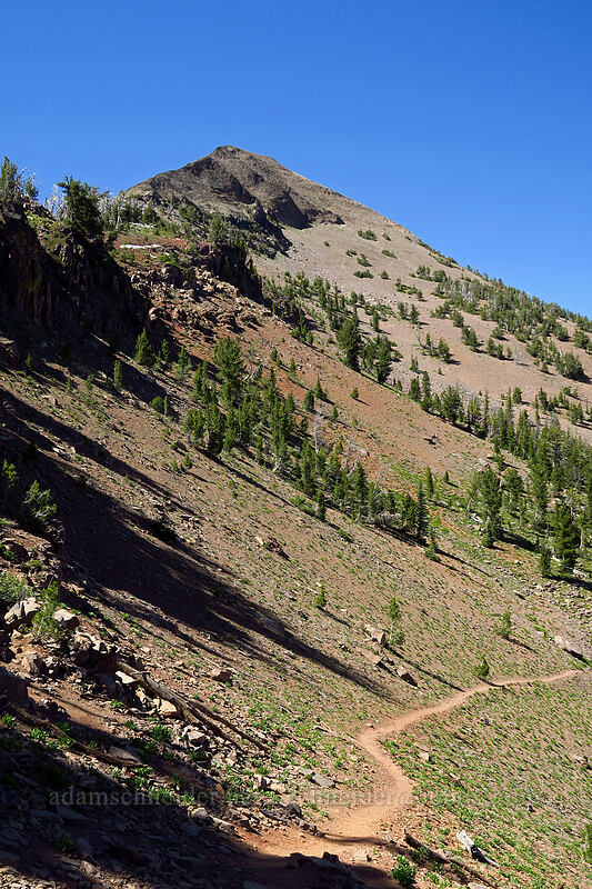 Strawberry Mountain [Strawberry Basin Trail, Strawberry Mountain Wilderness, Grant County, Oregon]