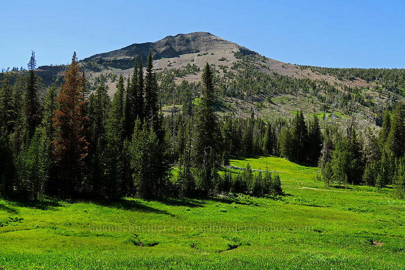 Strawberry Mountain & wet meadows [Strawberry Basin Trail, Strawberry Mountain Wilderness, Grant County, Oregon]